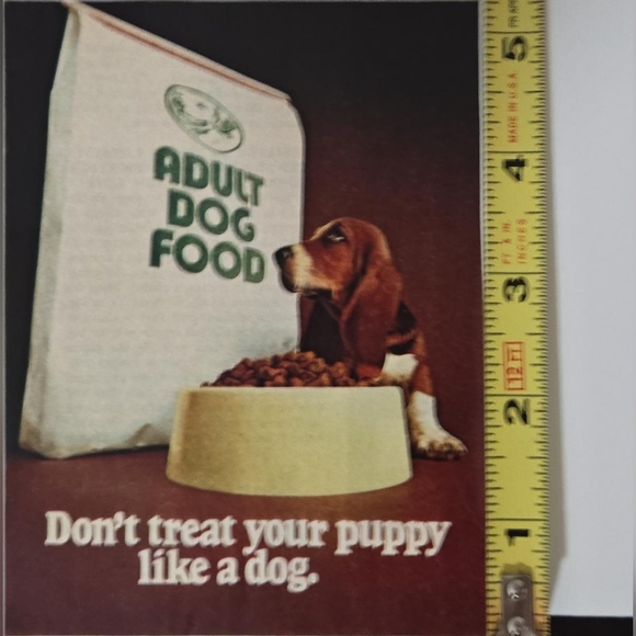 1980 Purina Puppy Chow Dog Food Ad - Don't Treat Your Puppy Like A Dog - Picture 3 of 8